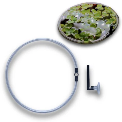 Schwimmring mit Saugnapf Schwimmpflanzenabgrenzung Futterring für Aquarium - Bild 1 von 4