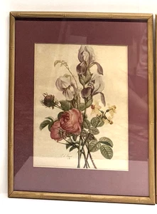 Vintage Jean Louis Prevost Iris Rosen und Narzisse Druck gerahmt mit Passepartout/Glas - Bild 1 von 4