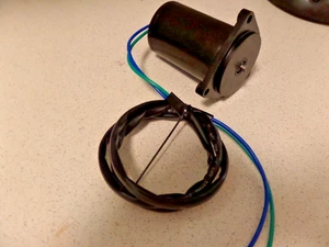 Yamaha Power Tilt Trim Motor 2 Wire 6H1-43880-02-00 40 50 60 70 90 - Picture 1 of 4