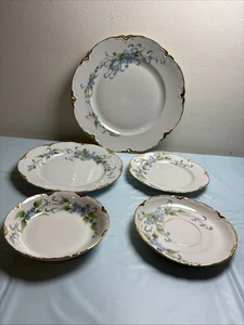 Raro Hutschenreuther Baviera Germania dipinto a mano blu floreale con bordo oro  - Foto 1 di 5