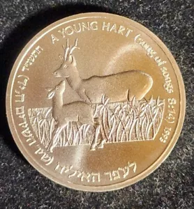 Israel 1993 1 Sheqel An Apple fruit & A young Hart silver unc coin KM 243 t3558 - Picture 1 of 3