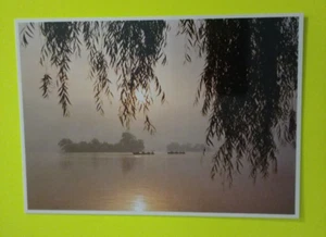 Postcard Morning On West Lake Hangzhou China Free USA Shipping - Picture 1 of 4