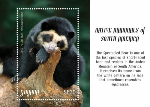 Guyana 2018 - Spectacled Bear, Mammals - Souvenir Stamp Sheet - Scott #4576 MNH - Image 1 of 1