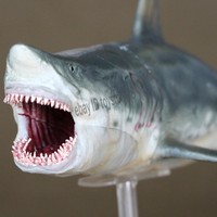 PNSO Ancient Ceatures Dinosaur King Megalodon Model Shark Statue In Stock New