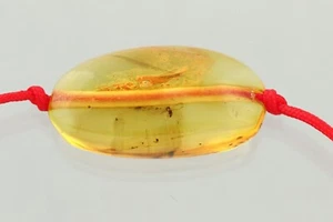Fossil Insect BALTIC AMBER Unisex Red String Adjustable Bracelet 1.1g 241218-11 - Picture 1 of 6