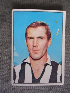 FIGURINA PANINI CAMPIONATO 1965/66 - JUVENTUS - BERCELLINO GIANCARLO I - NUOVA - Picture 1 of 1