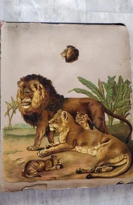  Victorian Die Cut Chromolithoraph Lions Dogs Trade Hard Card Scrapbook 1875 - Picture 1 of 7