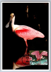 #4099f Southern Florida Roseate Spoonbills FDC Maxi Card - Picture 1 of 2