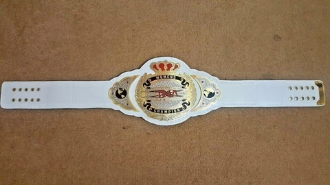 TNA WOMENS WRESTLING CHAMPIONSHIP BELT FULL SIZE A++ Cover