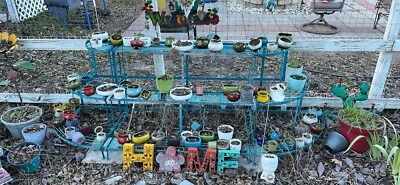 Macetas suculentas Foto 1 de 3