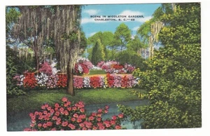 Charleston, South Carolina Vintage Postkarte / Middleton Gardens / 49 - Bild 1 von 2