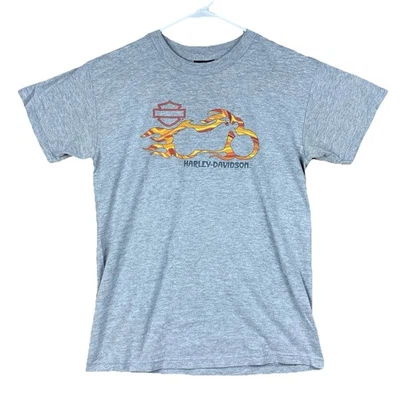 Harley Davidson Youth Large Flame Motorcycle Gray T Shirt Kids L (14–16) USA - Image 1 of 4