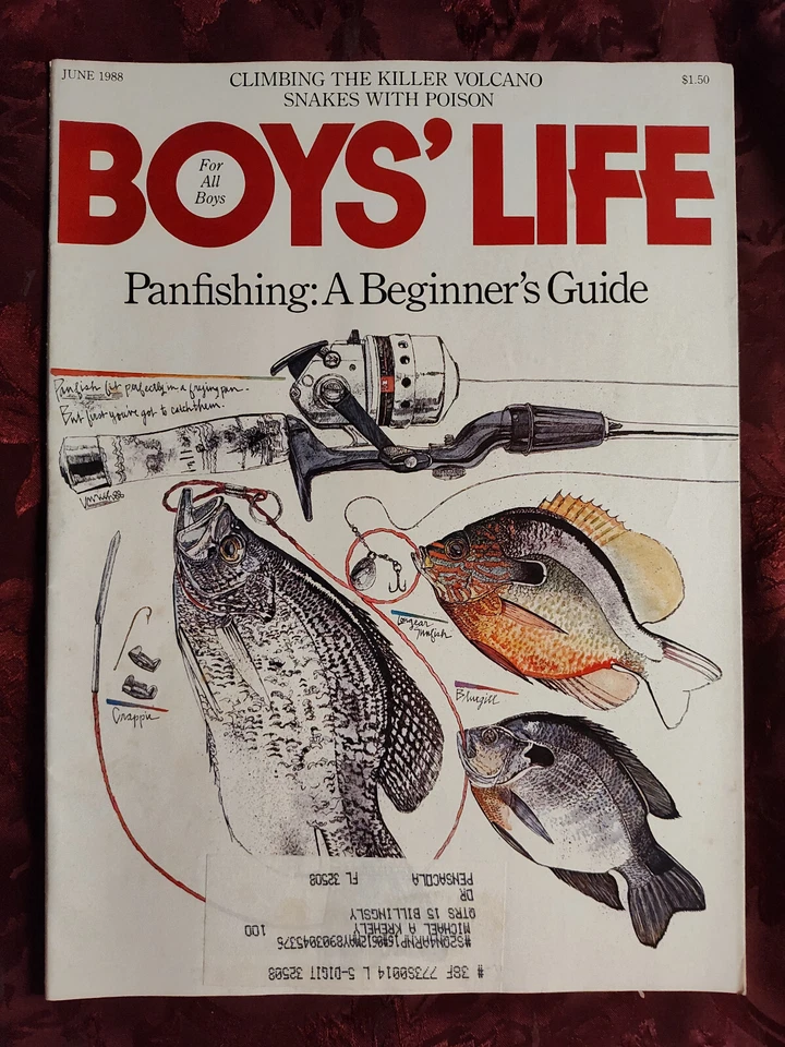 BOYS LIFE Scouts June 1988 Jack Unruh Condors Mount St. Helens Roger Clemens Foto 1 de 1