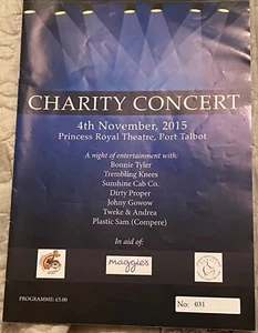 BONNIE TYLER - RARE  CONCERT PROGRAMME PORT TALBOT (4th November 2015) - Picture 1 of 3