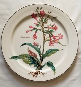 VILLEROY & BOCH BOTANICA Nicotiana tabacum 12 pulgadas PLATO PARA SERVIR PLATO - Imagen 1 de 3