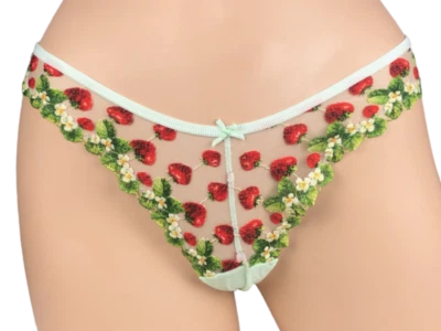 CALCINHA BRASILEIRA BORDADA MORANGO VICTORIA'S SECRET DREAM ANGELS XS P M G - Imagem 1 de 2