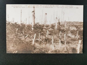 CPA Les Ruines de la Grande Guerre - La Ville-au-Bois - Le Bois des Buttes - Imagen 1 de 2