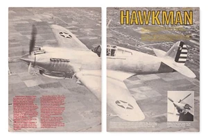Curtiss P-40 Aircraft Report 10/8/2022o - Foto 1 di 7