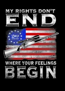 T-Shirt XL 2X 3X -MY RIGHTS DON'T END BEGIN - POLITICAL SECOND 2nd AMENDMENT AME - Picture 1 of 50