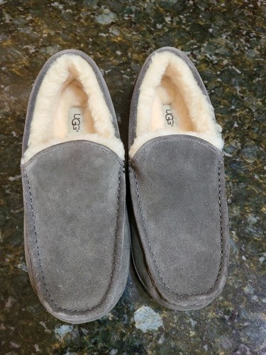 Mocassino Ugg uomo Ascot scamosciato lana slip on nuovo con scatola taglia 8