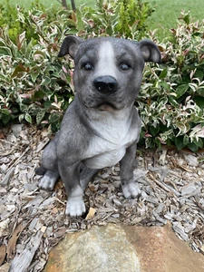 BLUE STAFFORDSHIRE -STAFFY PUPPY DOG ANIMAL GARDEN STATUE ORNAMENT FIGURINE - Foto 1 di 8