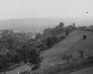 Zweibrücken 1953 Alemania huerto en la ladera vista panorámica del paisaje - Imagen 1 de 3
