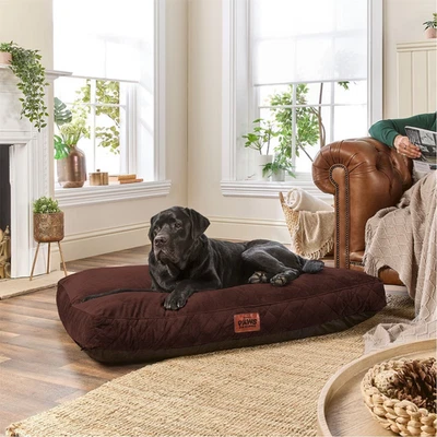 Slumberdown Paws for Slumber Chocolate Brown Pet Bed, Large - Image 1 of 4