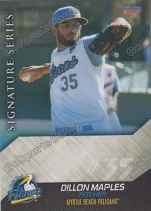 2017 Myrtle Beach Pelicans Dillon Maples RC Rookie Chicago Cubs - Picture 1 of 1