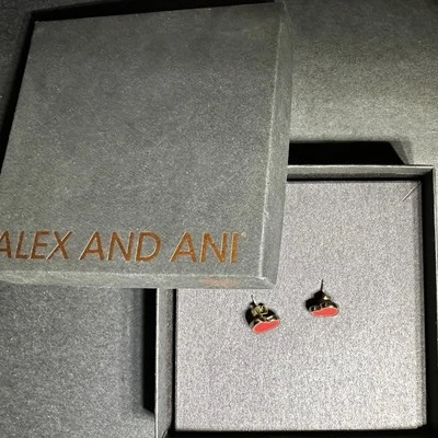 Alex and Ani Heart Earrings Foto 1 de 2