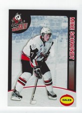Mike Schwindt 2008-09 Niagara IceDogs 