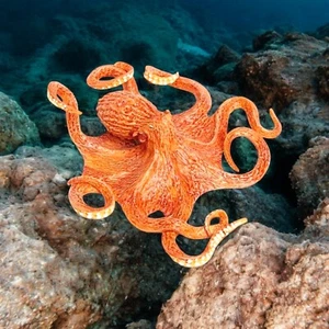 Figura de criaturas increíbles pulpo gigante del Pacífico juguete de safari realista - Imagen 1 de 11