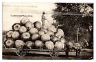 1909 RPPC Load of Good Texas Apples Exaggeration Real Photo Postcard *5L3