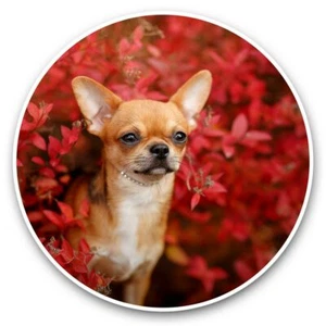 2 x Vinyl Stickers 20cm - Brown Chihuahua Puppy Dog Flowers #44466 - Photo 1/8