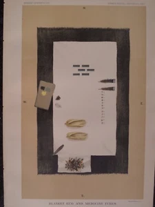 Navajo Indian Ceremony Blanket rug and medicine New Mexico 1891 Original Print 2 - Picture 1 of 2