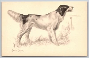 Vintage Postcard English Setter Dog Artist Drawing *5249 - Picture 1 of 2