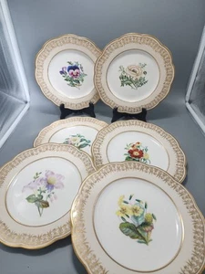 Set of 6 Davenport Longport Staffordshire Plates Each with Unique Flower Painted - Picture 1 of 15