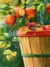 Red Finch Songbird Apple Tree Harvest Leanin' Tree Blank Card - Set of 2