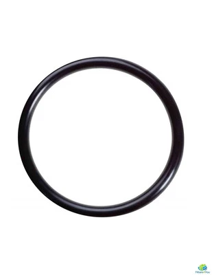 CFS O-Rings for The Water Pur Company RCS 10-inch RV Water Filter Canister - 3 Pack