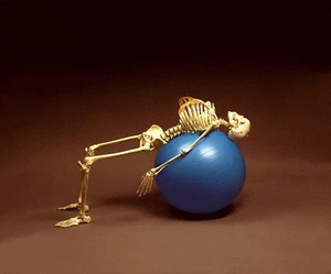 Pysiotherapy Skeleton Human Anatomical Model NEW - Picture 1 of 2