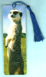 Marcador de suricata vida silvestre amantes de los animales salvajes regalos x él sus hijos mujer CALIDAD - Imagen 1 de 2