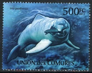 Dolphins Mammals Marine Fauna Individual Stamp Mint NH - Picture 1 of 1