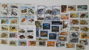 Turtles & Tortoises on Stamps Collection - 25 & 50 Different Stamps  - Picture 1 of 1