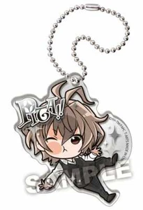 ¡Nuevo! Fate Apocrypha Pita! Llavero de acrílico Deforme - Sieg Caster - Imagen 1 de 5