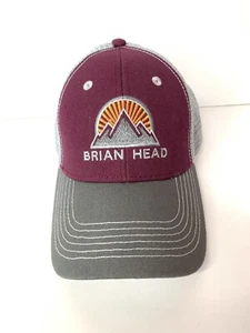 Trucker SnapBack lila und grau Mesh Mütze Gehirn Kopf Skigebiet - Bild 1 von 5