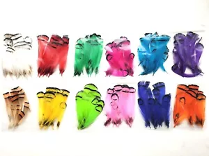 LADY AMHERST - Pheasant Tippet Feathers - FLY TYING MATERIALS - 12 COLORS - NEW! - Picture 1 of 27