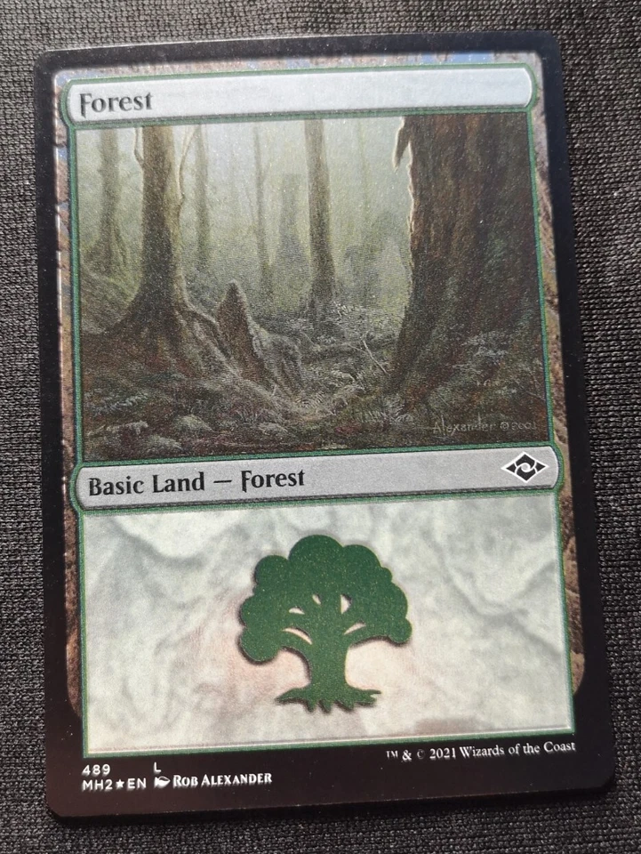 Forest - Etched Foil - MH2 - NM Unplayed - EN - 489 - Image 1 of 1