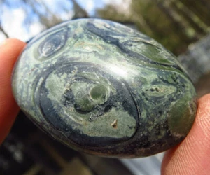 KAMBABA JASPER POLISHED STROMATOLITE FOSSILIZED ALGAE PALMSTONE MADAGASCAR - Picture 1 of 6