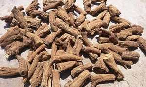 Organic Pure Kushta Roots Saussurea Lappa Costus Indian Raw & Whole Herbs - Picture 1 of 10