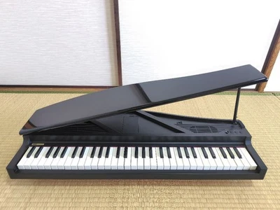 KORG MICRO PIANO 61 teclas negro piano electrónico usado de Japón Foto 1 de 4