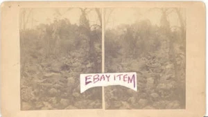 STEREOVIEW DEVIL'S LAKE WISCONSIN BENNETT circa 1890 - Imagen 1 de 1